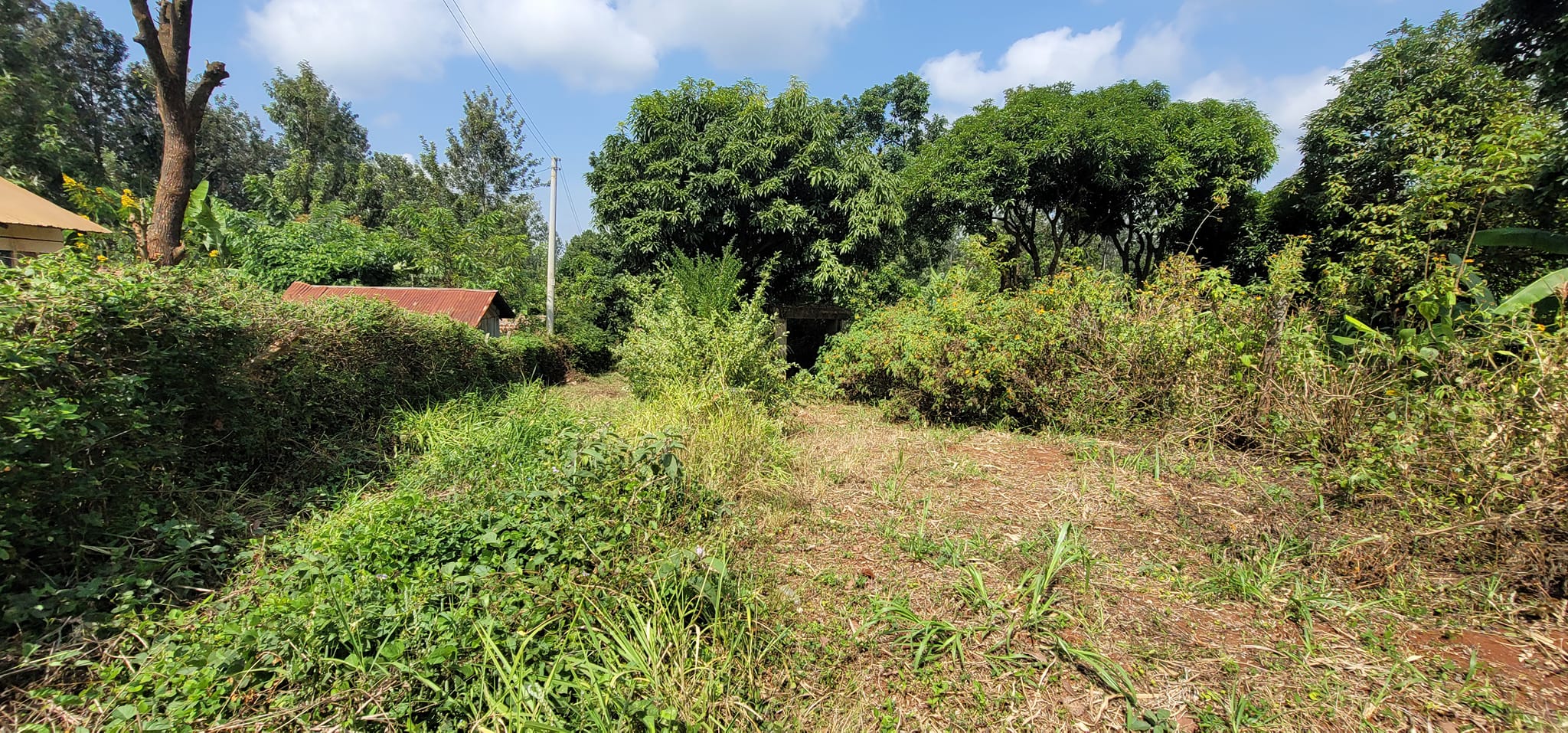 Half-Acre Plot of Land for Sale in Mutuguni Area Tharaka Nithi